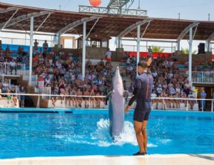 Alanya Dolphin Show