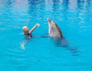 Swimming with dolphins in Antalya