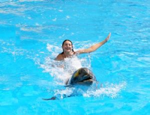 Swimming with dolphins in Belek